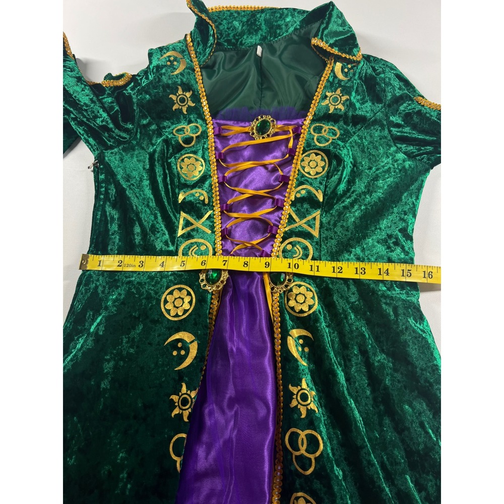 Hocus Pocus Winifred Sanderson Halloween Cosplay Velvet Medieval Gown Medium - Picture 12 of 16